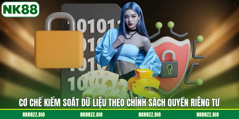 Quyền riêng tư co-che-kiem-soat-du-lieu-theo-chinh-sach-quyen-rieng-tu